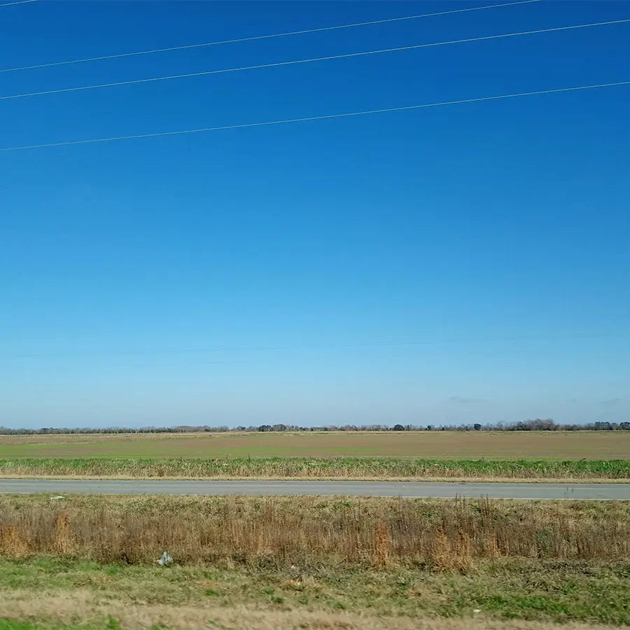 Rural South Texas landscape with open fields, trees, and a blue sky